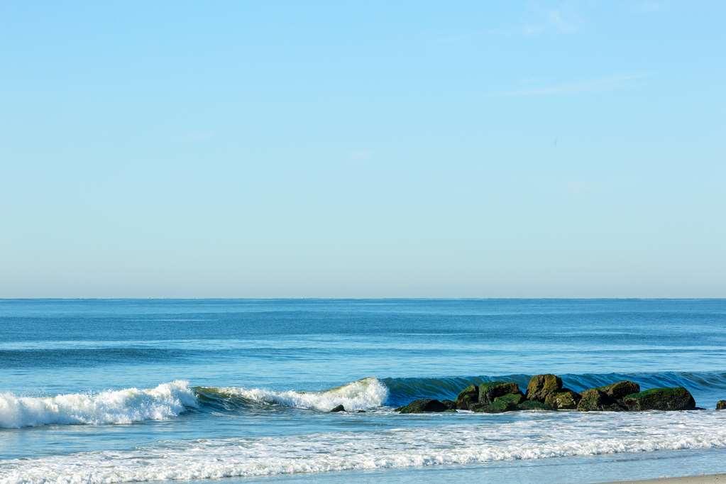 Allegria Hotel (Adults Only) Long Beach Nature photo